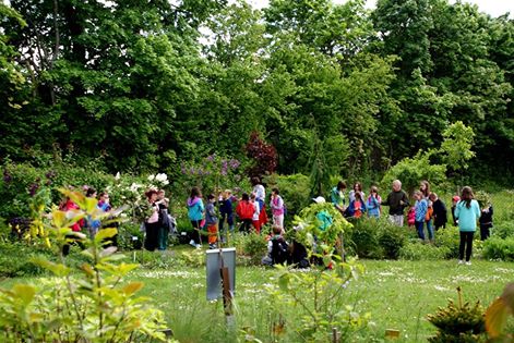 Ogród botaniczny